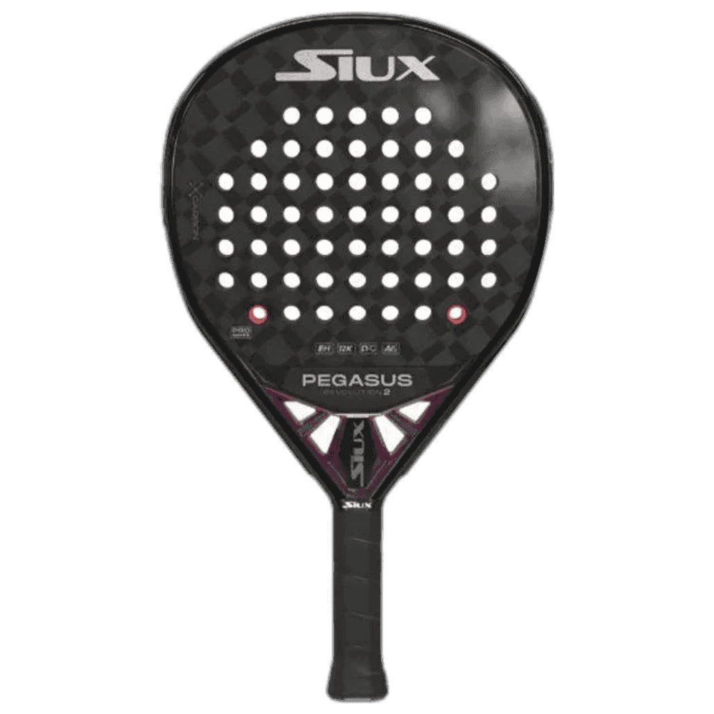 Siux Pegasus Revolution 2 2024