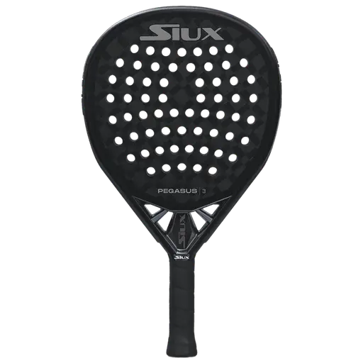 Siux Pegasus 3 2025