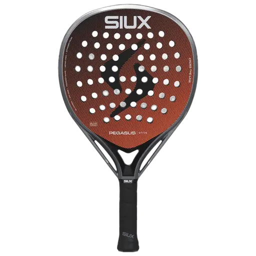 Siux Pegasus Elite 4 2026