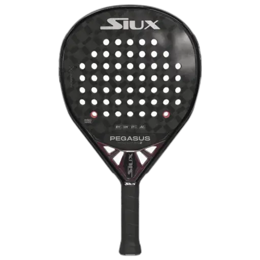 Siux Pegasus Revolution 2 2024